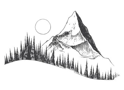 vanagon-contact-us-2